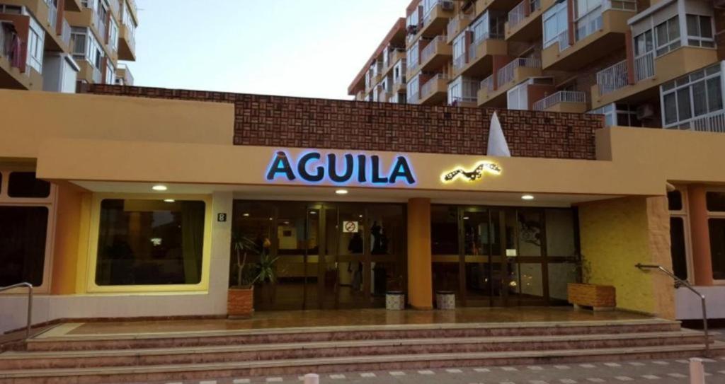 águila Con Vistas Al Jardin